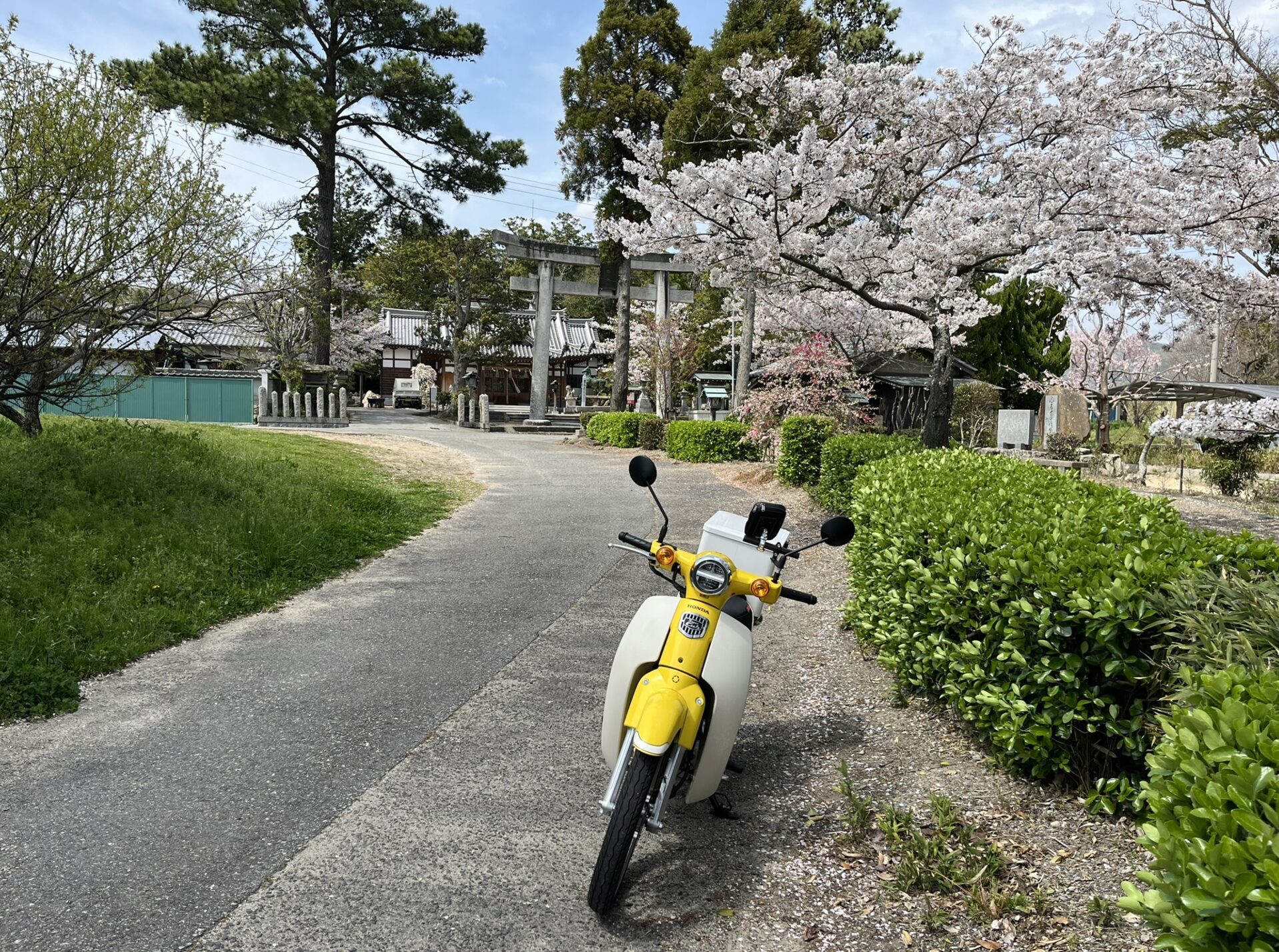 きいろカブとどこまでも